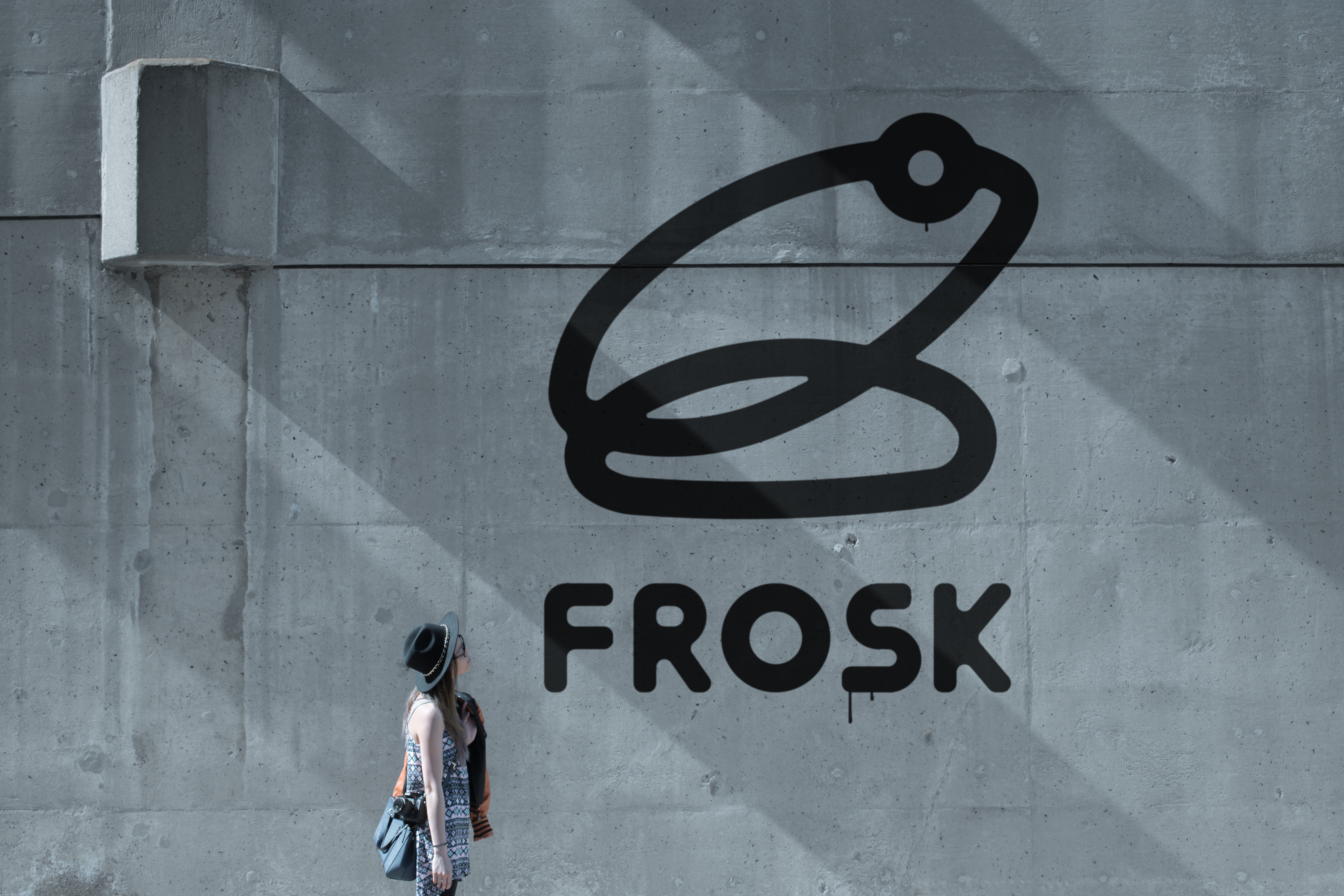 FROSK logo wall